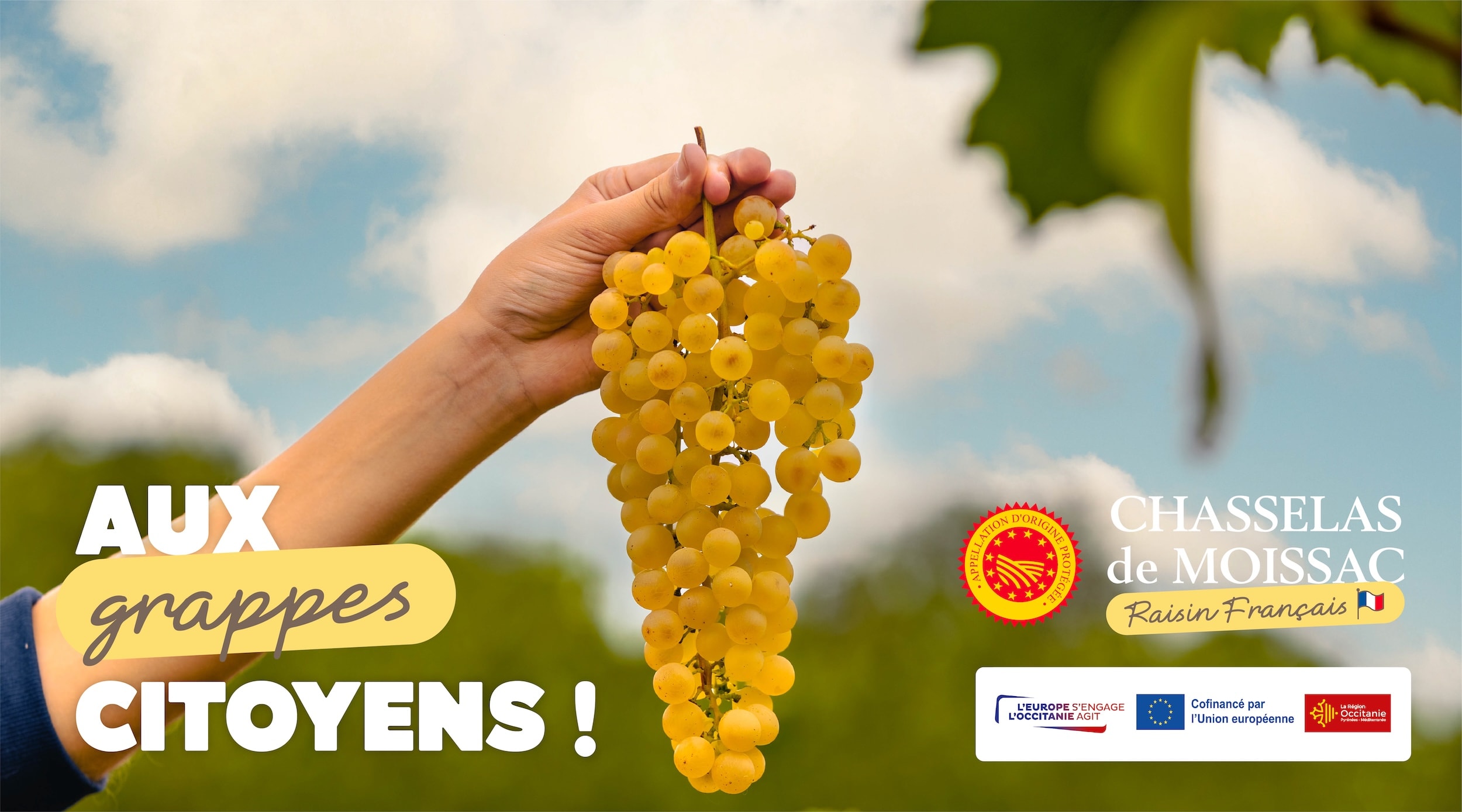 Aux grappes citoyens